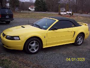 Mustang 006.jpg